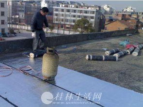 臨桂房屋補漏與水電維修服務 全方位的居家問題解決方案